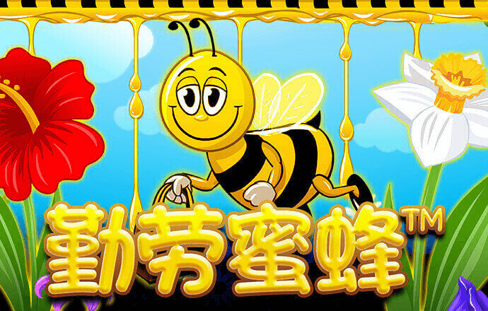 中欧体育官网vip入口在哪